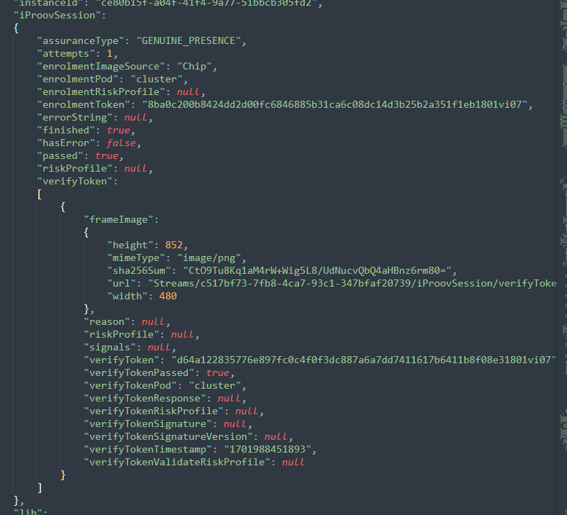 Extra field in json file