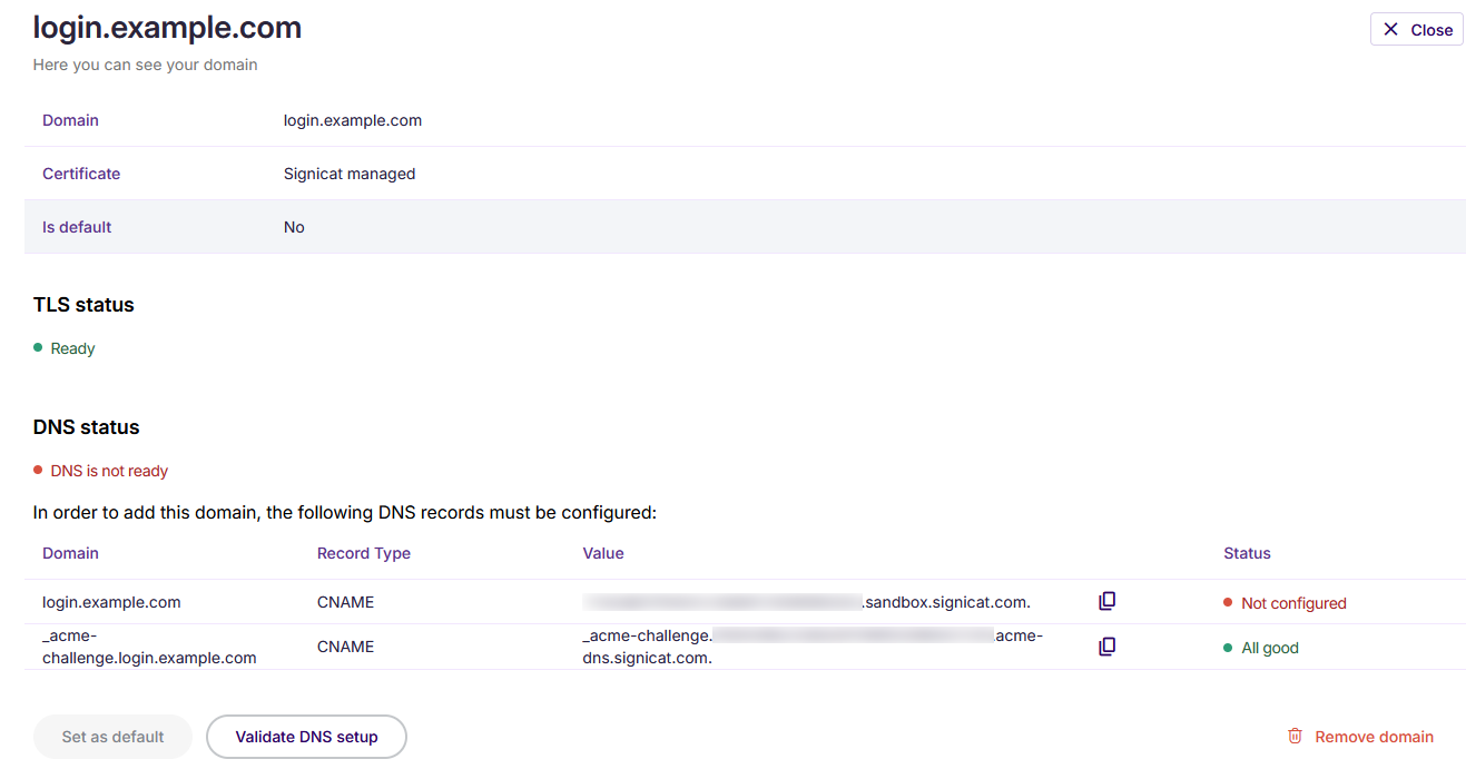 TLS Status is shown as 'Ready' while the primary DNS record is not.