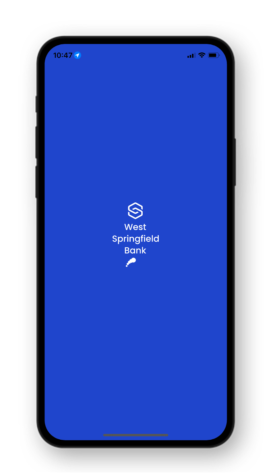 Splash screen is shown when the app is loading