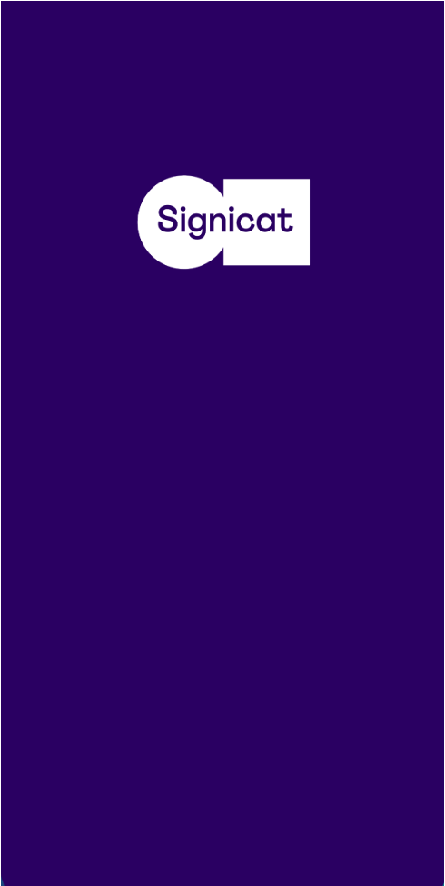 Example of an iOS splash screen