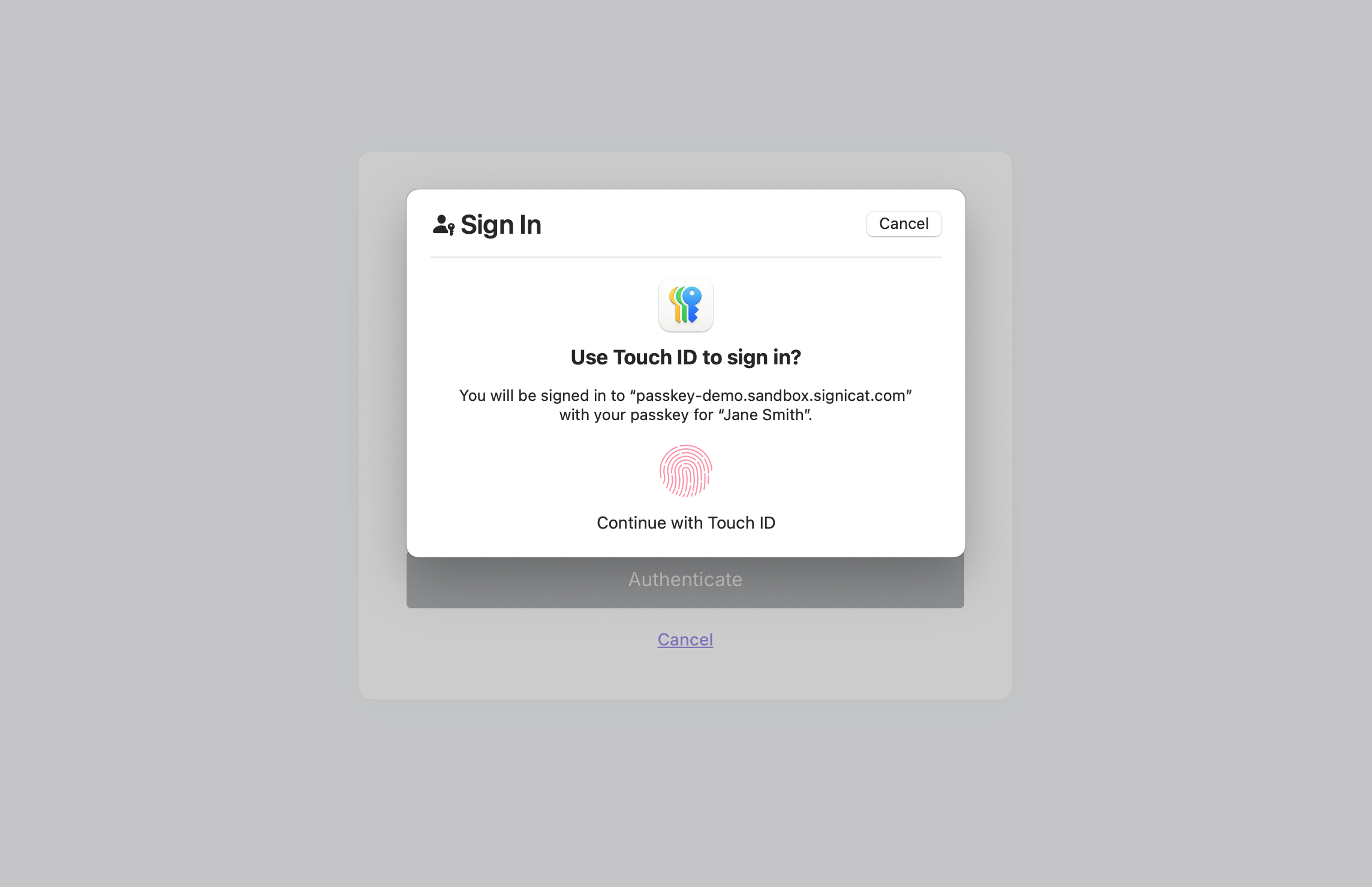 Automatically, an overlay is shown from their key provider which asks the end-user if they want to log in.